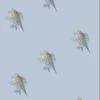 CYNTHIA ROWLEY Love Birds Wallpaper 1 CYNTHIA ROWLEY Love Birds Wallpaper -Cynthia Rowley Shop lovebirds blue