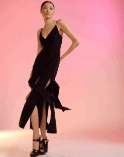 CYNTHIA ROWLEY Car Wash Dress