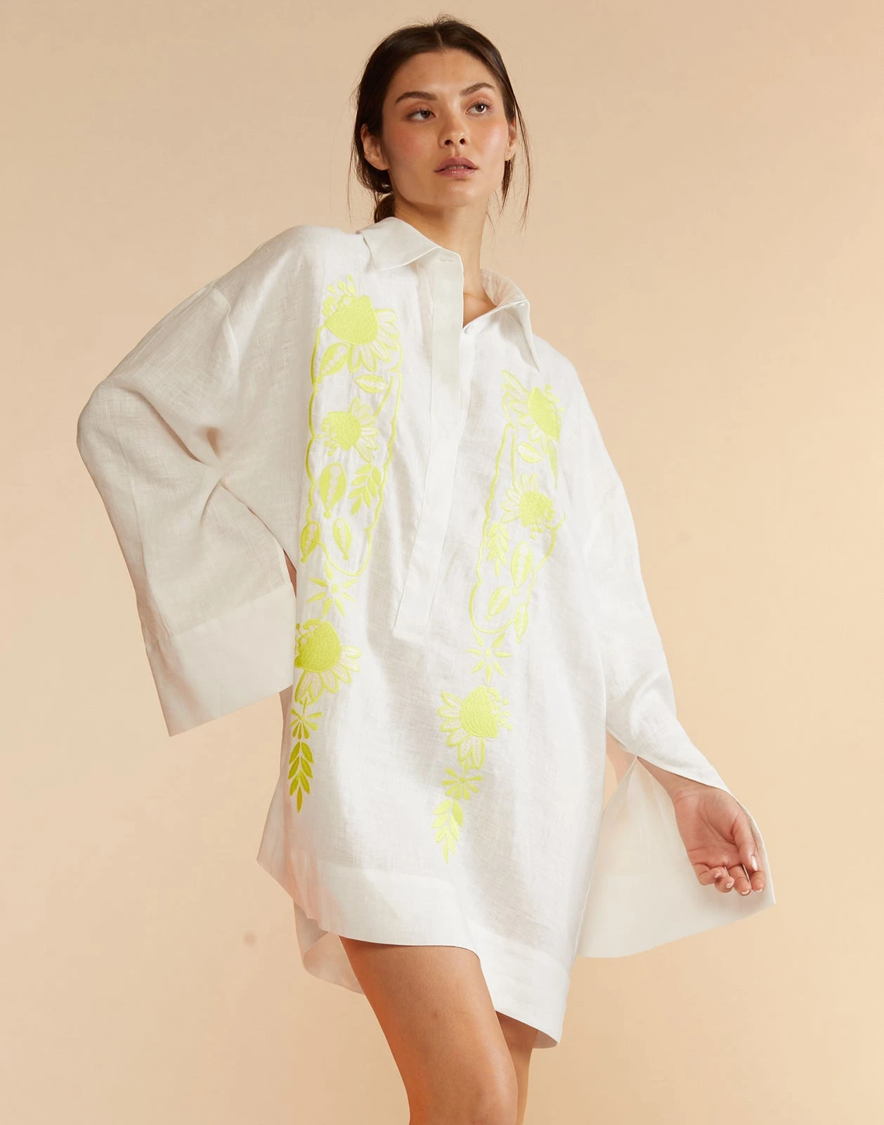 CYNTHIA ROWLEY Scalea Embroidered Dress 3 CYNTHIA ROWLEY Scalea Embroidered Dress